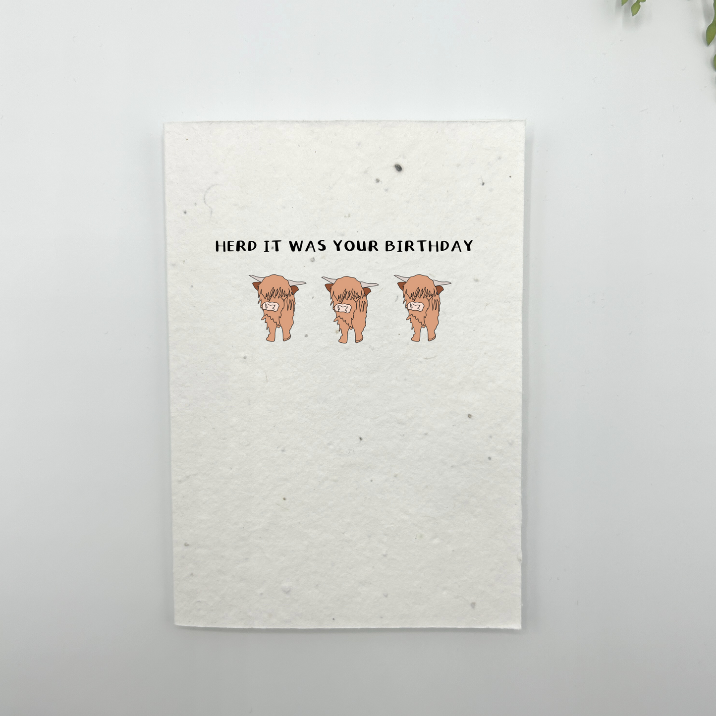 Herd It Was Your Birthday