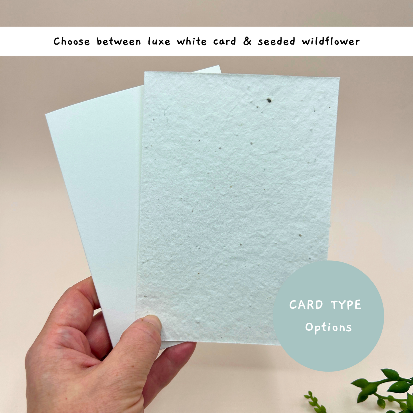 Merry Christmas Pudding Card