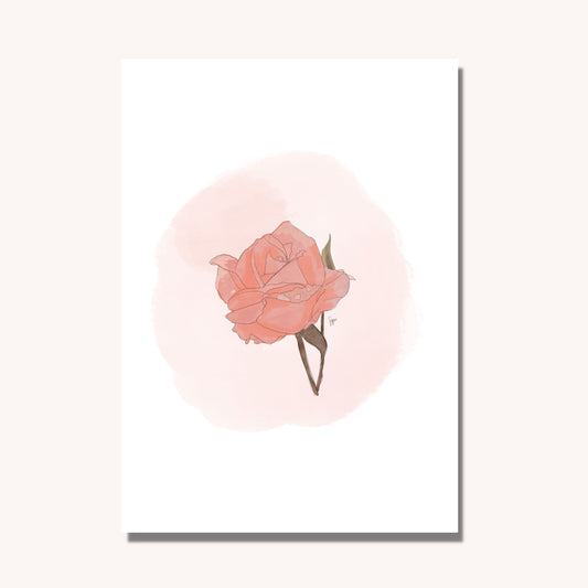 Blush Rose Watercolour Art Print