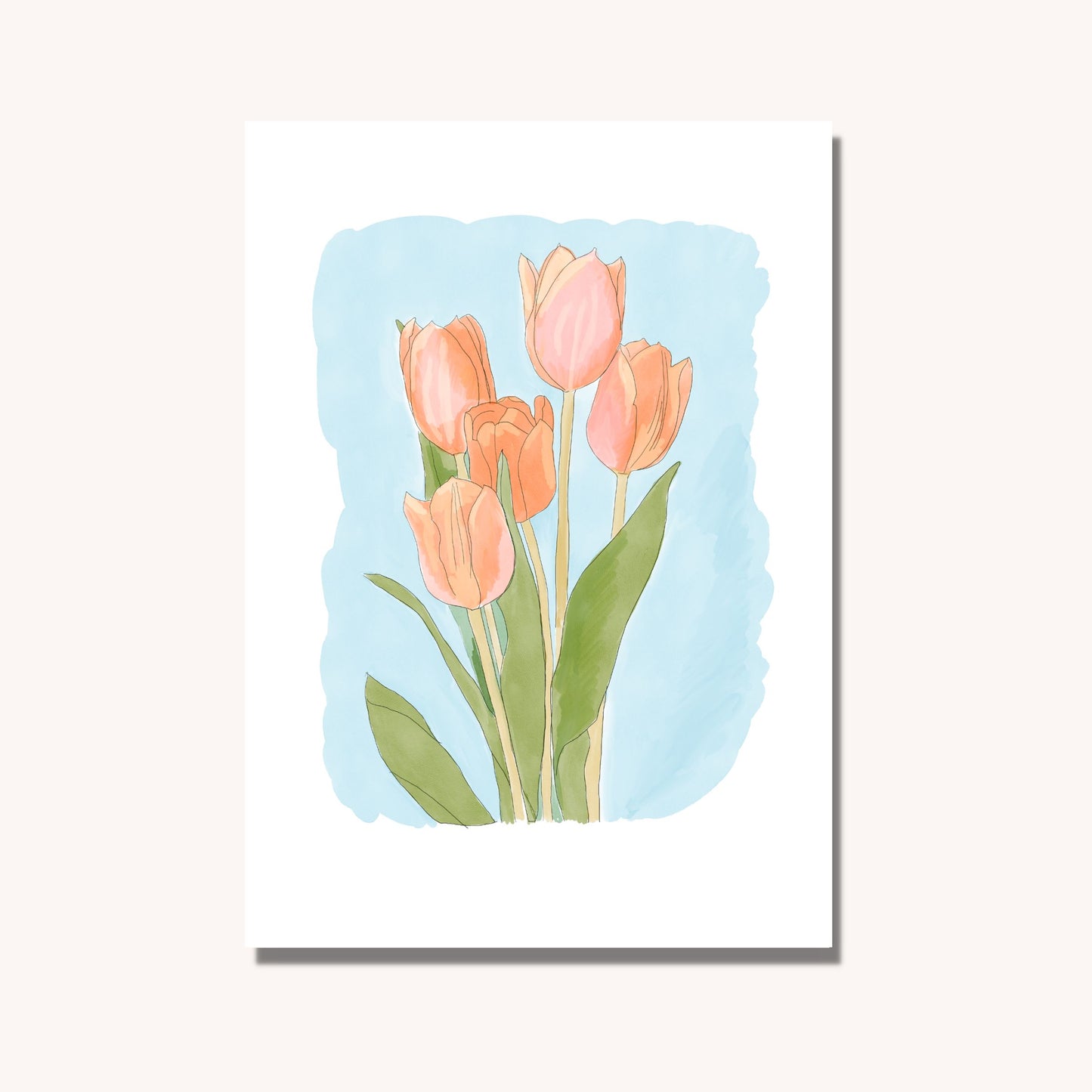 Tulips in bloom