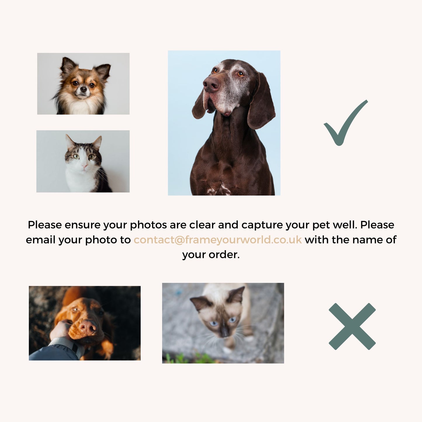 Custom Pet Portraits