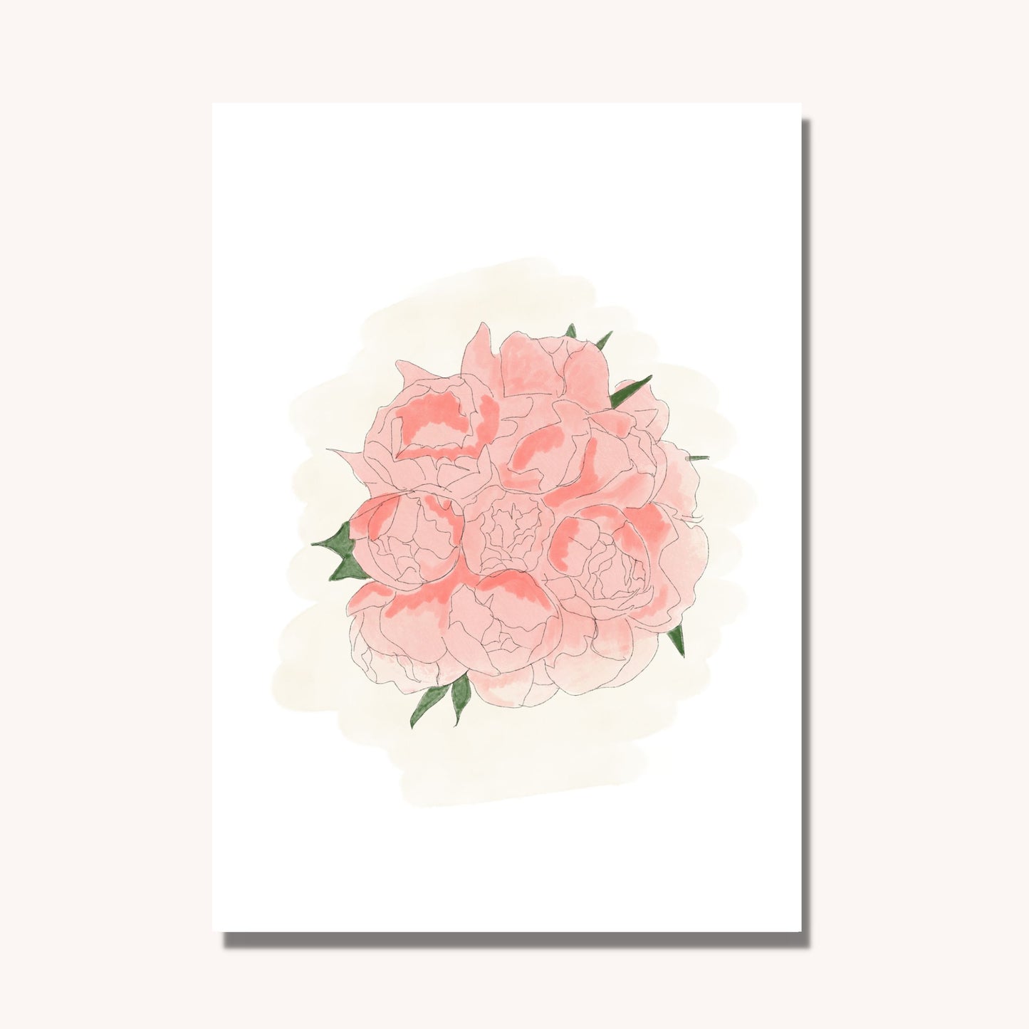 Peonies in bloom illustrated art print