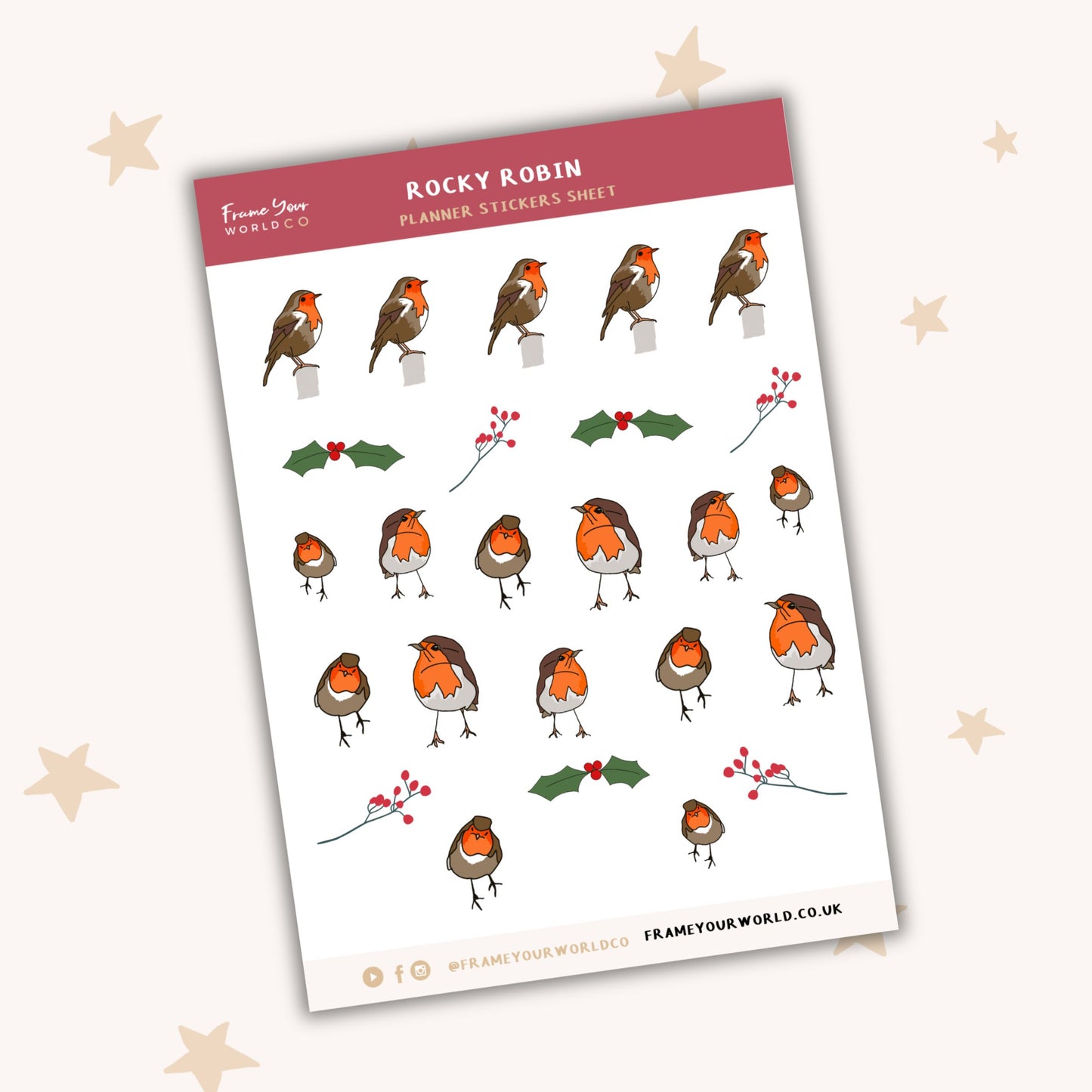 Rocky Robin Planner Sticker Sheet