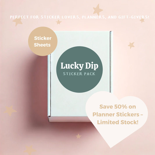 Planner Stickers Lucky Dip Box